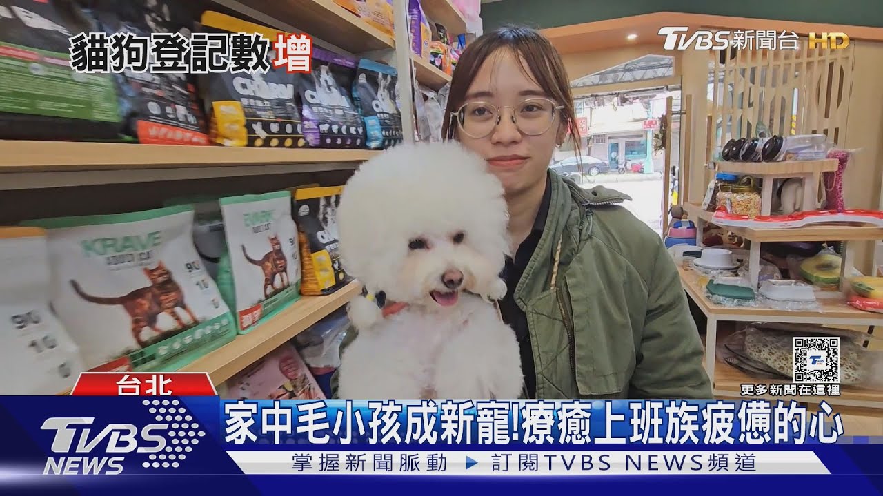 養寵物家人成趨勢!靜靜陪著就很療癒 免擔憂未來教育