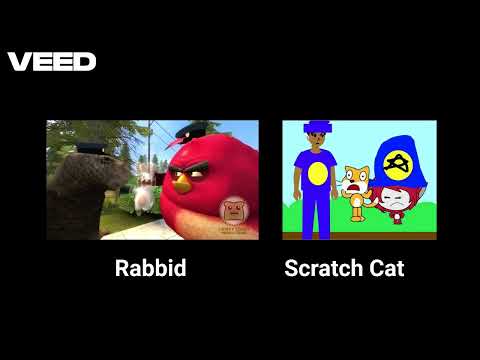 Ragequit Rabbid vs. Cat - Comparison Time!