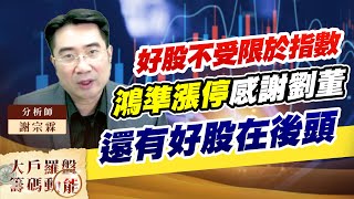 好股不受限於指數 鴻準漲停感謝劉董 還有好股在後頭 (圖)