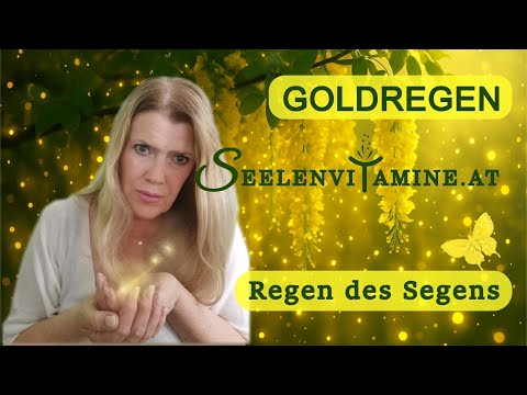 Der Goldregen - Ein reinigender Regen des Segens und Lichtbringer