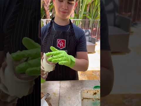 CR Pork Tenderloin Medallions - Onion Cups Greek style