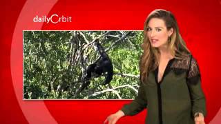 Spaceport America Liability Waivers An Issue For Virgin Galactic - The Daily Orbit