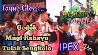 Download lagu GEDOK - MUGI RAHAYU - TULAK SENGKOLO | SEKAR MADU MUSIC | IPEX Pro mp3 Download lagu GEDOK - MUGI RAHAYU - TULAK SENGKOLO | SEKAR MADU MUSIC | IPEX Pro mp3