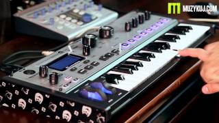 Video thumbnail for Novation MoroderNova Sounds by muzykujkropkacom