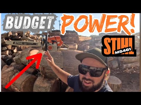 Stihl MS461 Worth It in 2025? Affordable Horsepower!!!