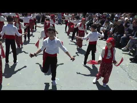 Çocuklardan Muhteşem Erik Dalı Gösterisi   Alpaslan Karademir