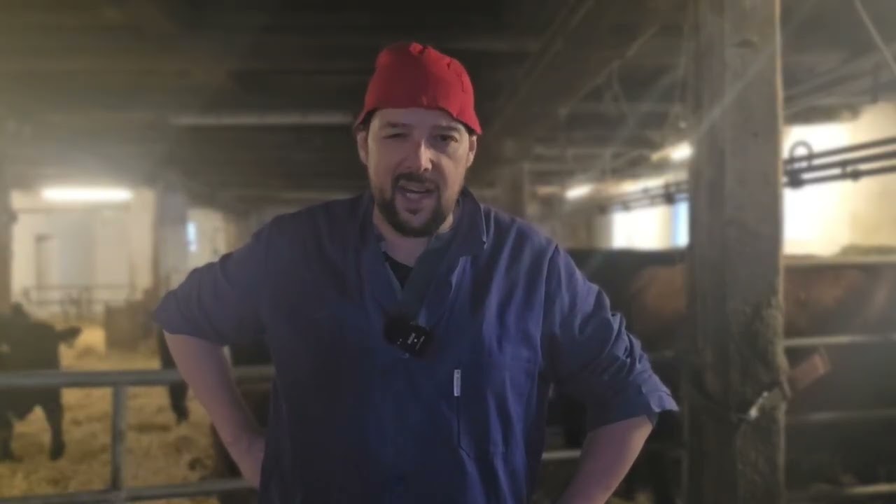 160 Euro bekommen Bauern für ein Schwein