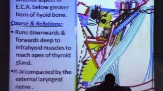 20-[Neck] Dr.Shrief zaki 15-12-2015(Vessels of neck)