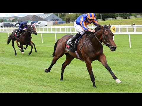 Impressive TRUE LOVE looks set for top table | Racing TV