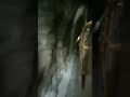 Train Travel Enisai Paadivarum Song Train What S Ap Status Thullatha Manaum Thullum