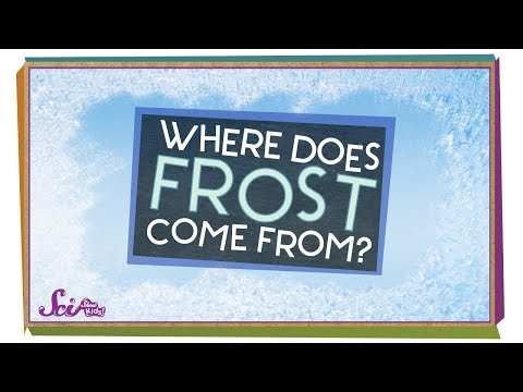image-What weather is frost?