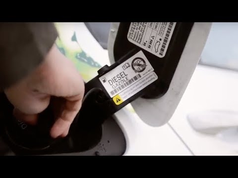 Fact and fable about biofuels -- Algae in the fuel tank?