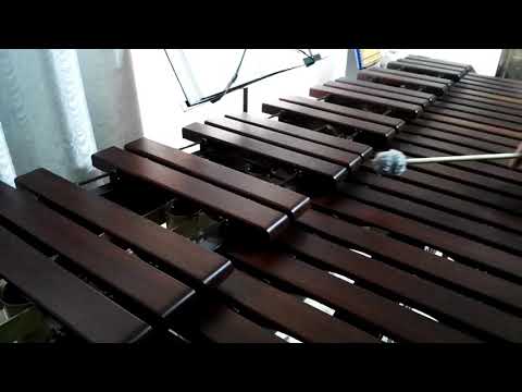 Inni di lode N°445: Un cuore pien d'ardor Marimba Cover