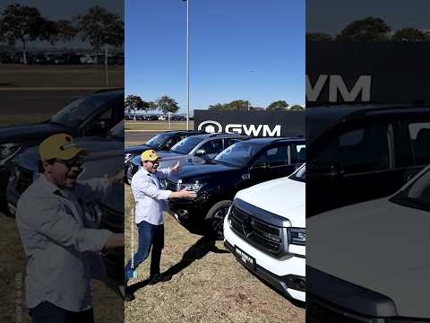 GWM Poer P30 Exclusive com teto solar e GWM Poer P30 Pro feita para o trabalho