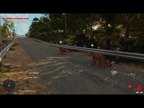 Far Cry 6 Cougar Vs Jaguar