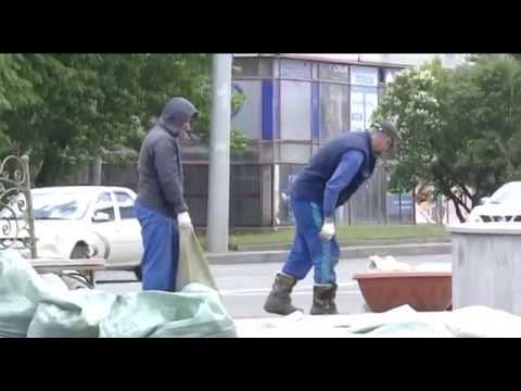 В Курске стартовали новые проекты по озеленению