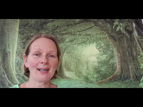 So reist du in deine Akasha Chronik genaue Anleitung 💜🌟🙏🌟💜