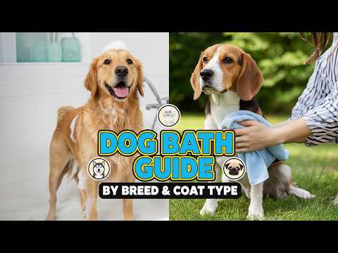 Welcome to Pet Tips – Your Ultimate Guide to Happy & Healthy Pets! 🐶🐱