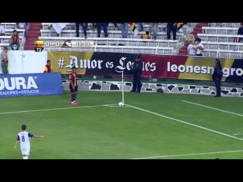 Asecnso 2015 - J8 - Leones Negros vs. Cimarrones