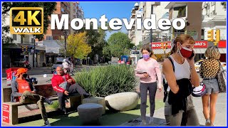 【4K】WALK Pocitos MONTEVIDEO Uruguay 4k video UY Travel vlog
