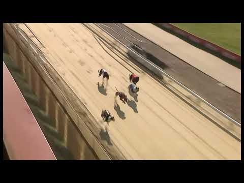 Savana Class - Ladbrokes Golden Jacket Sprint