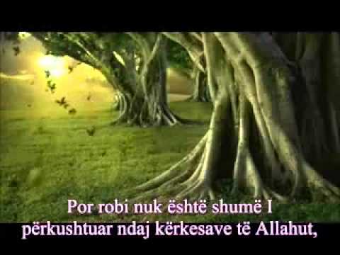 Dashuria ndaj Allahut dhe Pejgamberit shejh Shenkiti