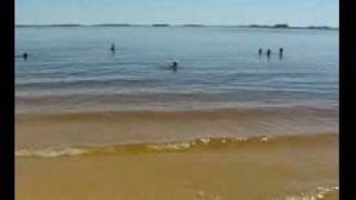 preview picture of video 'Playa San Gregorio de Polanco'