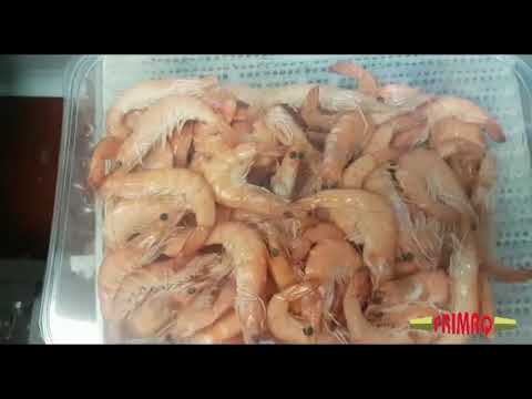 Frimaq Model TSA-826 Automatic Tray Sealing Machine