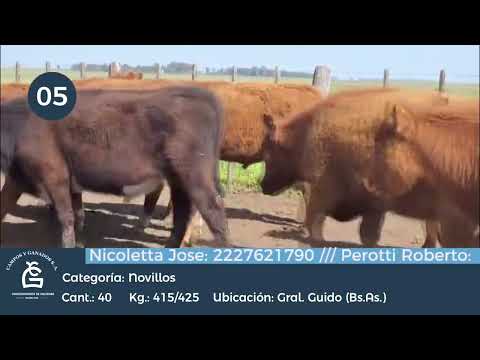 Lote Nll inv - Gral Guido Bs As