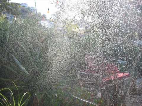 Dave Rubinoff Orchestra-A Garden In The Rain