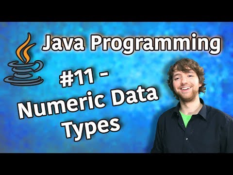 Java Programming Tutorial 11 Numeric Data Types and Properties Infinity NaN