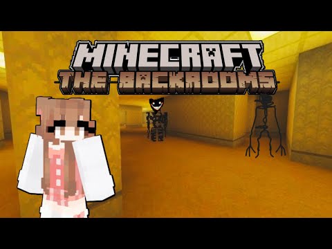 Escape the Summer Heat with Minecraft Backrooms