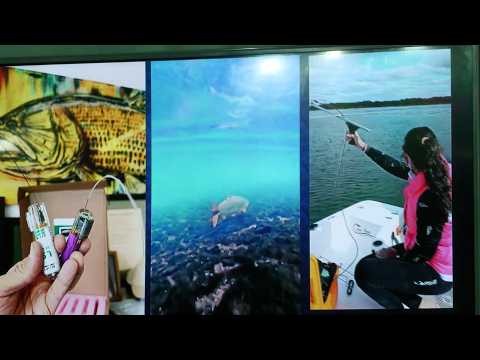 “TRAS LA ESTELA DEL TIGRE”: CORRIENTES AVANZA EN LA CONSERVACIÓN CIENTÍFICA DEL DORADO