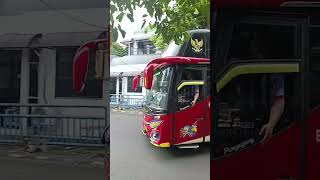 Download lagu Bus mboiss full strobo dan variasi Agra Mas Bm002 #huntingbus mp3 Download lagu Bus mboiss full strobo dan variasi Agra Mas Bm002 #huntingbus mp3