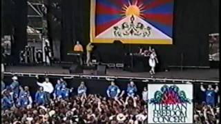 Björk -Violently Happy-Tibetan Freedom Concert 1996