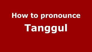 How to pronounce Tanggul