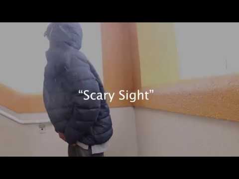 T$ Quan- Scary Sight
