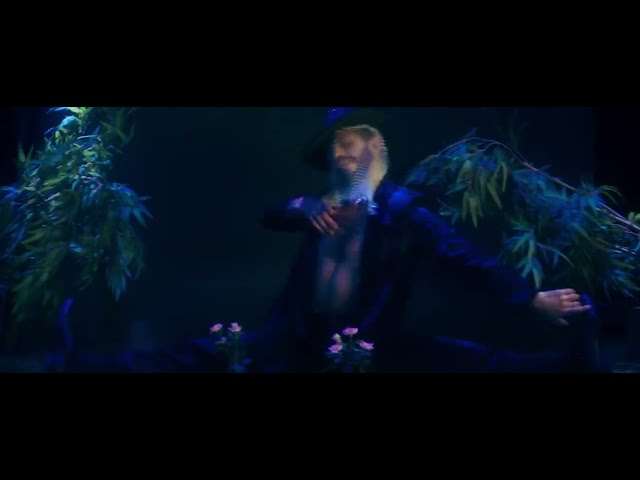 Video zu 'Daddy Cool' ansehen