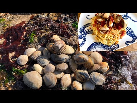 Coastal Foraging - Clams, Cockles and Shellfish - Seafood Spaghetti Cook Up
