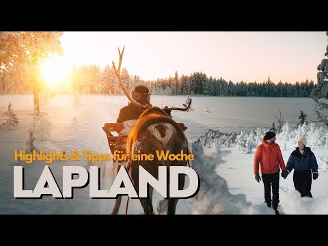 Winter Wonderland Lapland: Our highlights & insider tips for a week in Lapland in winter