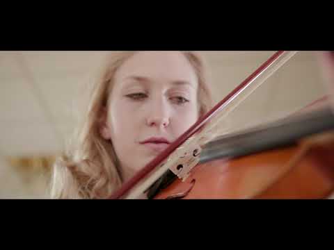 Скрипка GEWA Aspirante Marseille 1/2