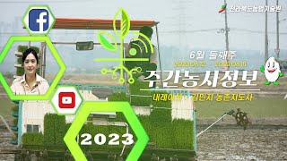 [ 주간농사정보 ] 6월 2째주 (2023. 06. 12. ~ 06. 18.)
