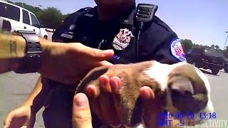 Bodycam Shows Police Rescue Tiny Puppy Locked In Hot Car