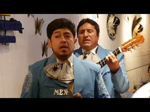 Mariachi México Canta en vivo