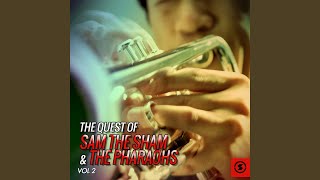 The Hair on My Chinny Chin Chin