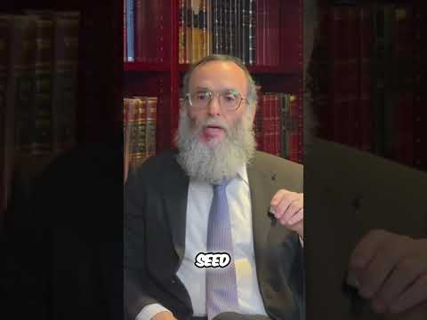 Judaism Explained: 613 Commandments vs. Noahide Laws - What's the Difference?