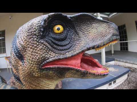 National Dinosaur Museum
