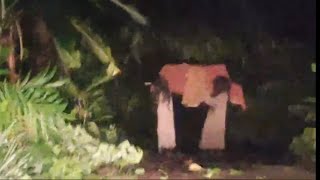 Download lagu Mobile Vlog Jalur Serem ketemu kuntilan4k mengusung Keranda Lampor mp3 Download lagu Mobile Vlog Jalur Serem ketemu kuntilan4k mengusung Keranda Lampor mp3