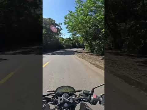 BAJANDO DE TRUJILLO A RIOFRÍO VALLE DEL CAUCA