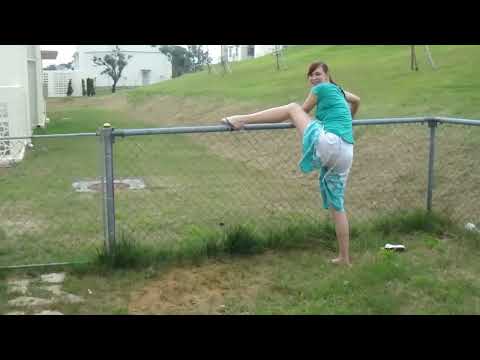 Drunken Wife Attempting to Hop a Fence